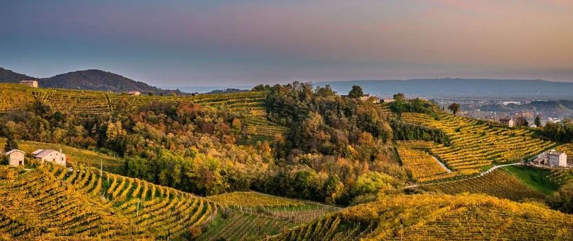 AVVISO PUBBLICO  “Programma finalizzato alla valorizzazione turistica del territorio e alla promozione e sviluppo dell’agroalimentare Lombardo in sinergia con l’Enoteca Regionale Cassino Po”;